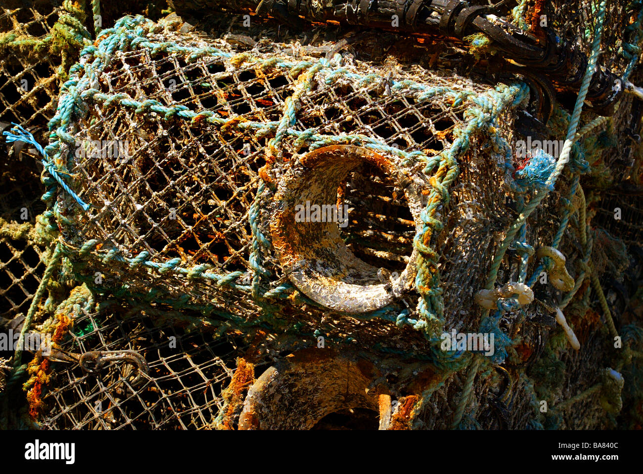 crab pot Stock Photo Alamy