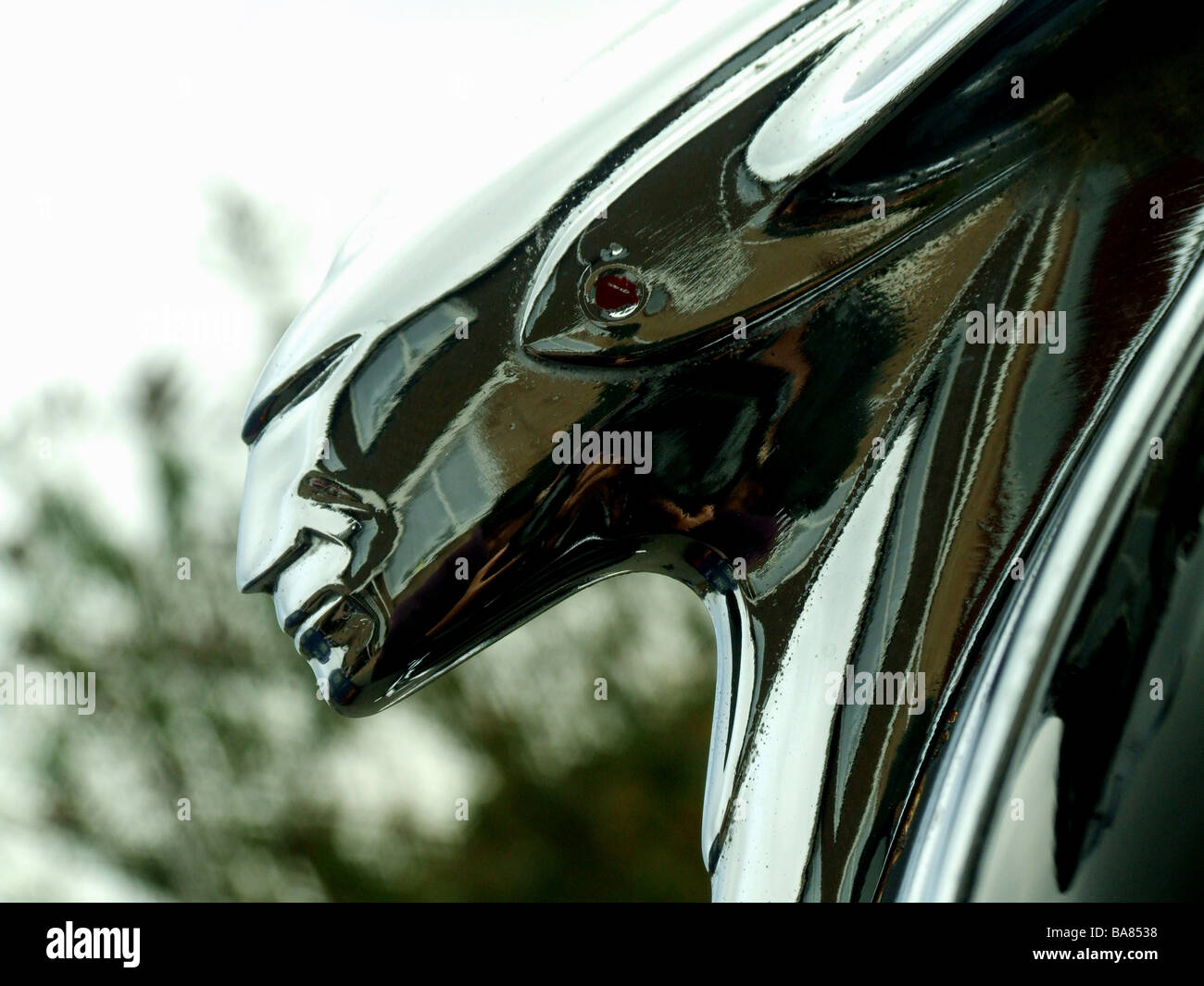 Chrome indian figurehead hires stock photography and images Alamy