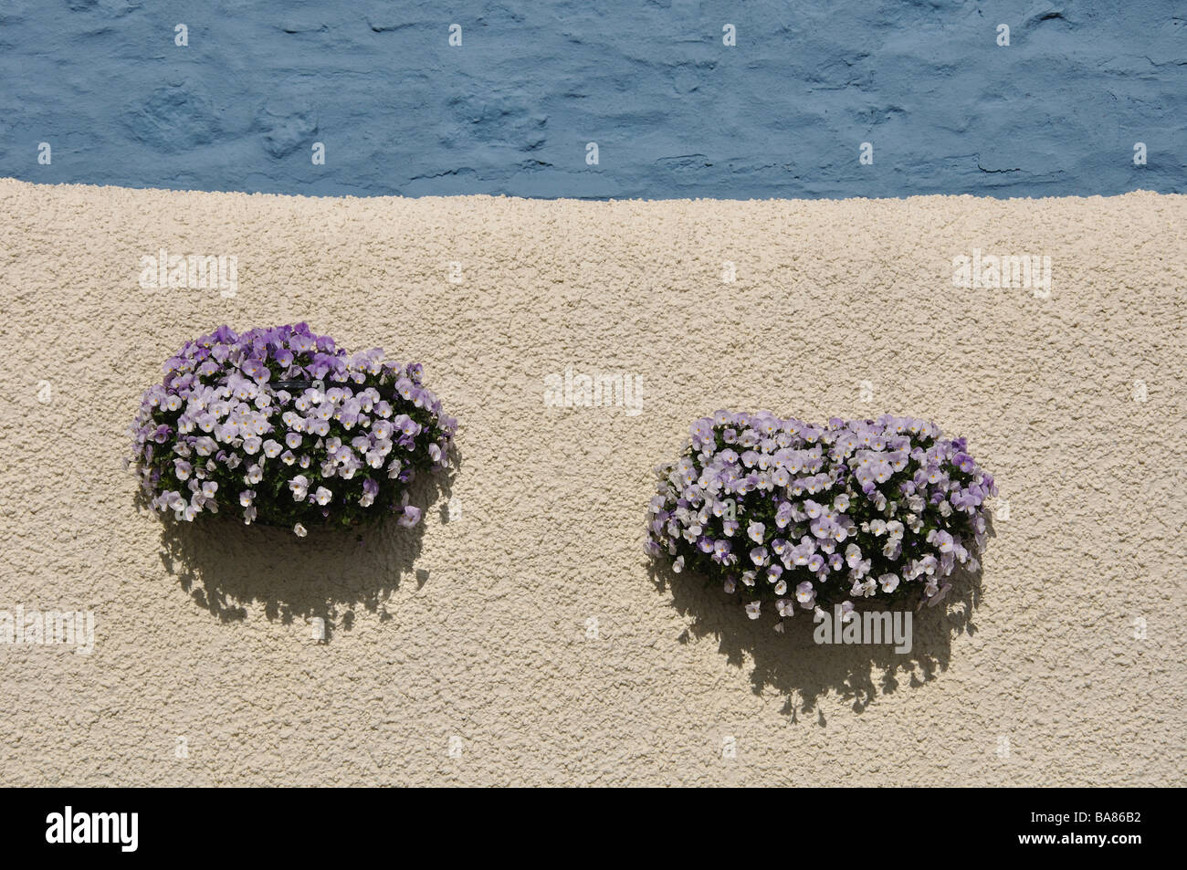 Flower hanging baskets hi-res stock photography and images - Alamy