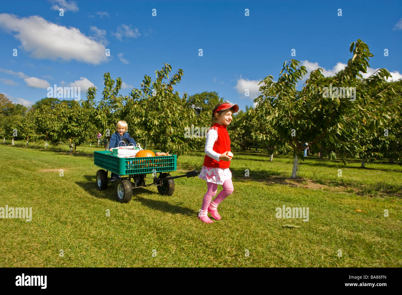 Boy pulling wagon hires stock photography and images Alamy