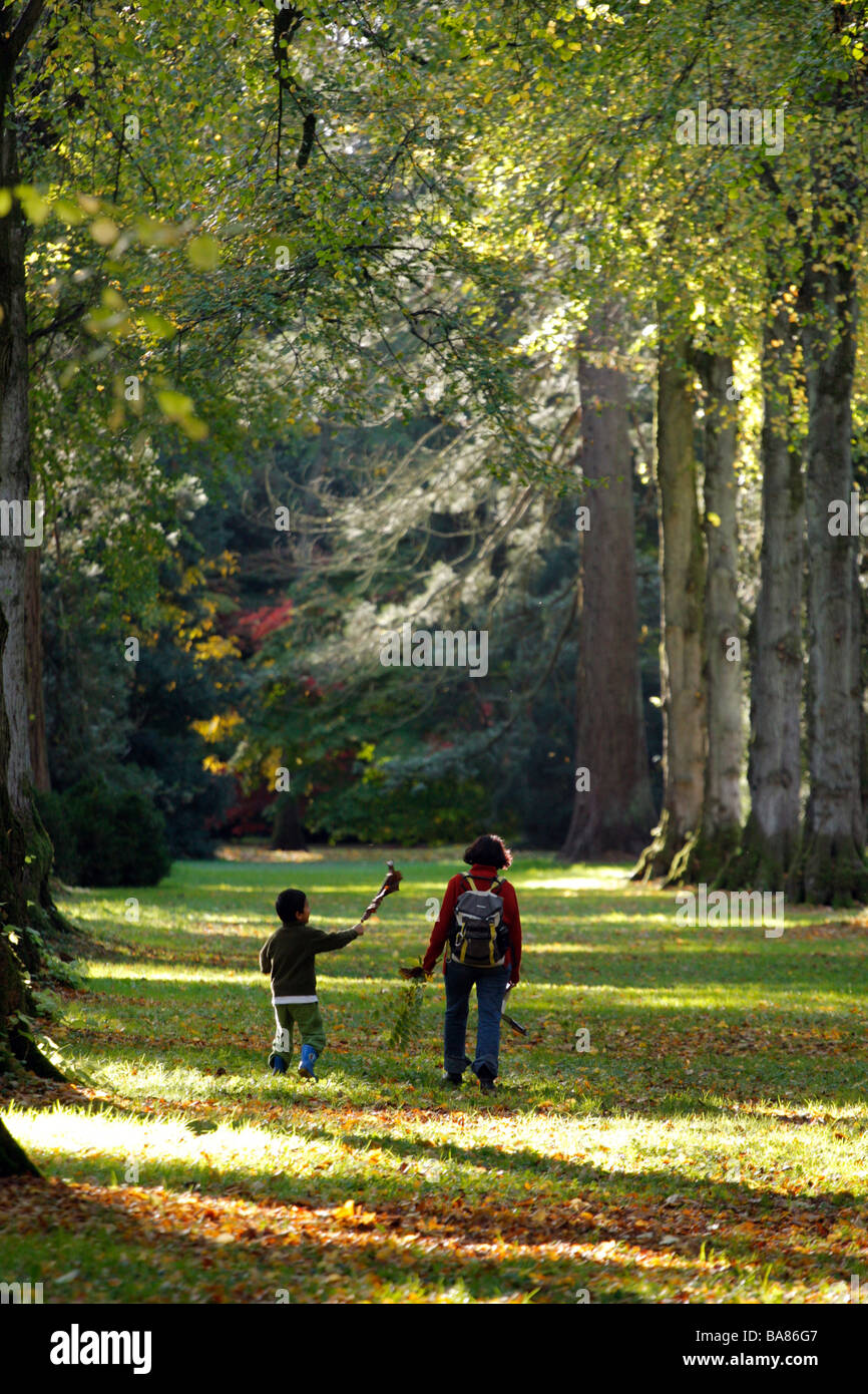 Mother and son walking down a wooded avenue at Westonbirt Arboretum UK Stock Photo