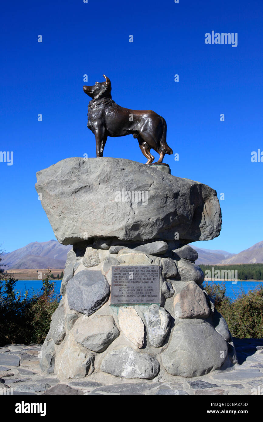 Collie dog statue on the banks of Lake Tekapo near Church of the Good