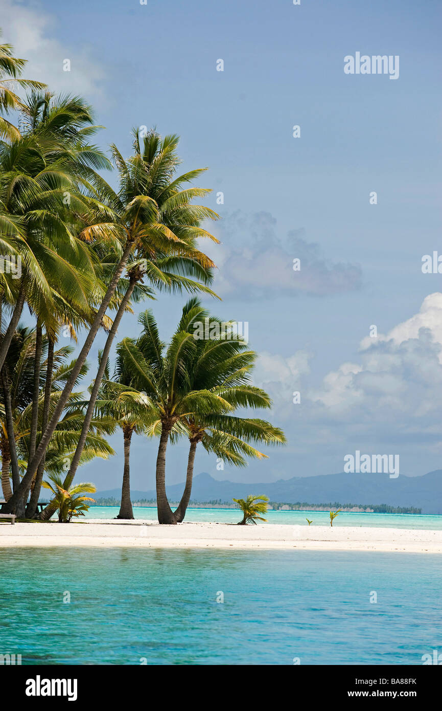 French Polynesia : Bora Bora (island Stock Photo - Alamy