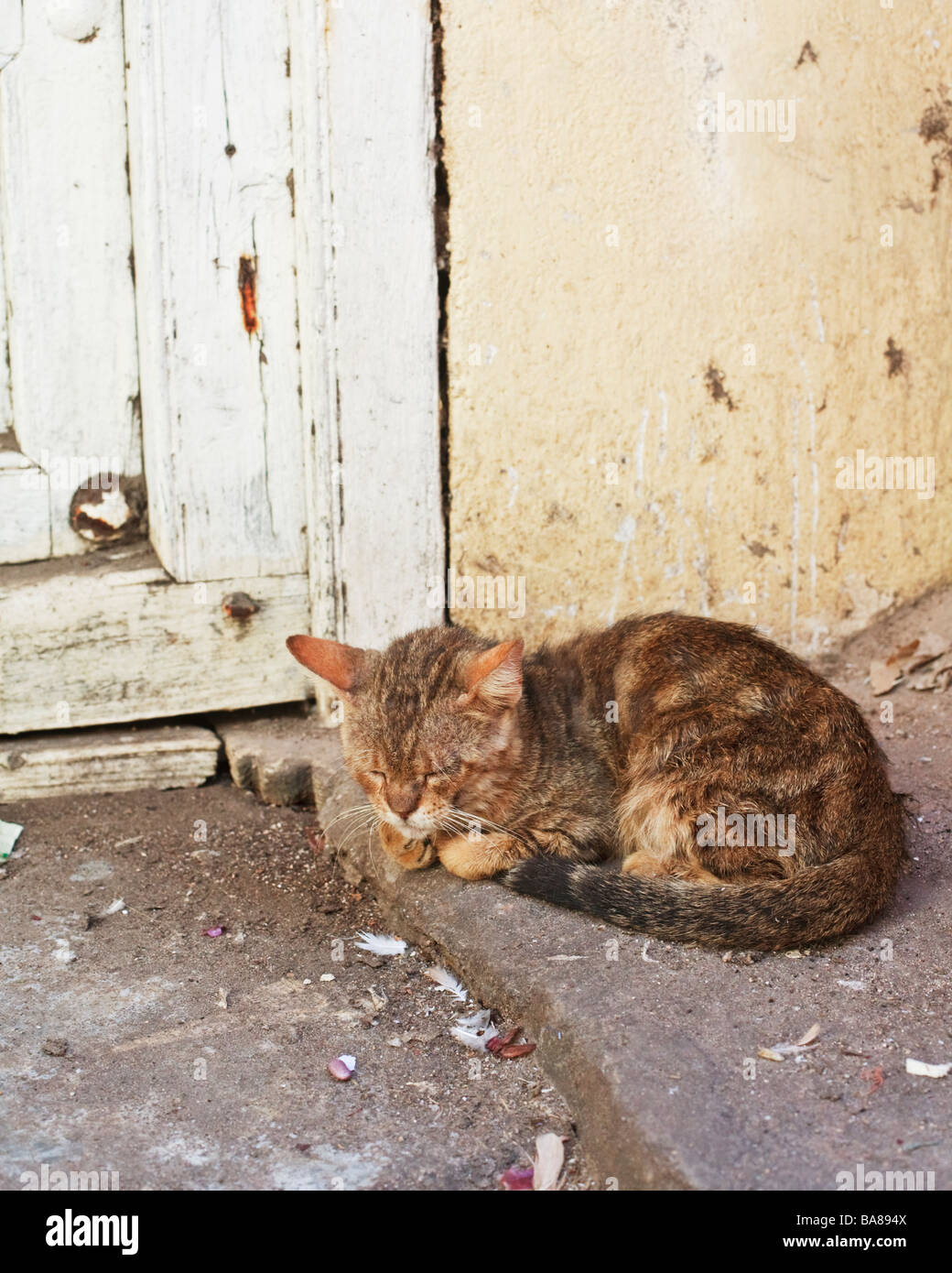 Raggedy hi-res stock photography and images - Alamy