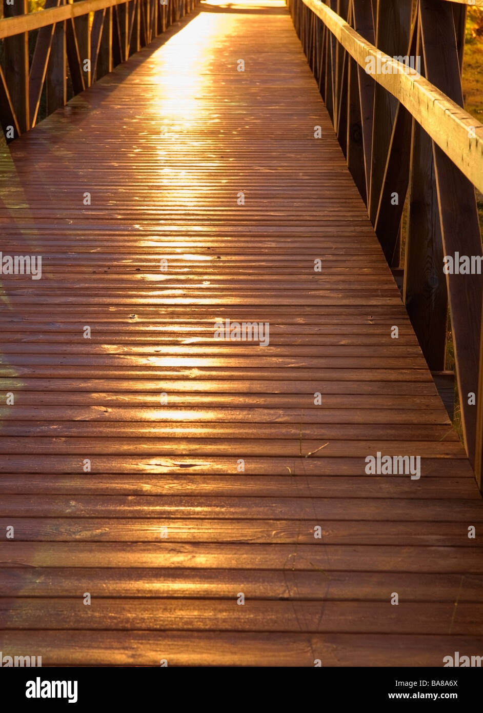 Wooden boardwalk Stock Photo Alamy