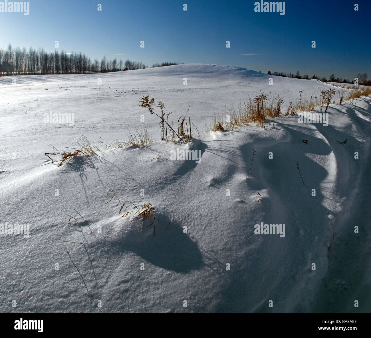 Winter Wide Format Temperature Hi res Stock Photography And Images Alamy