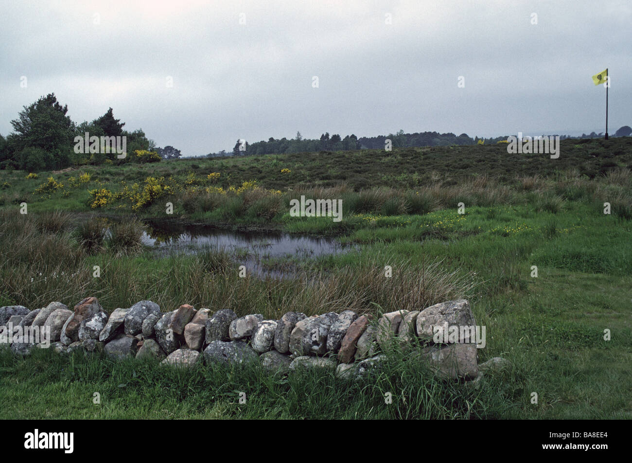 Culloden Battlefield, Drumossie Moor, Invernessshire, Scotland, United