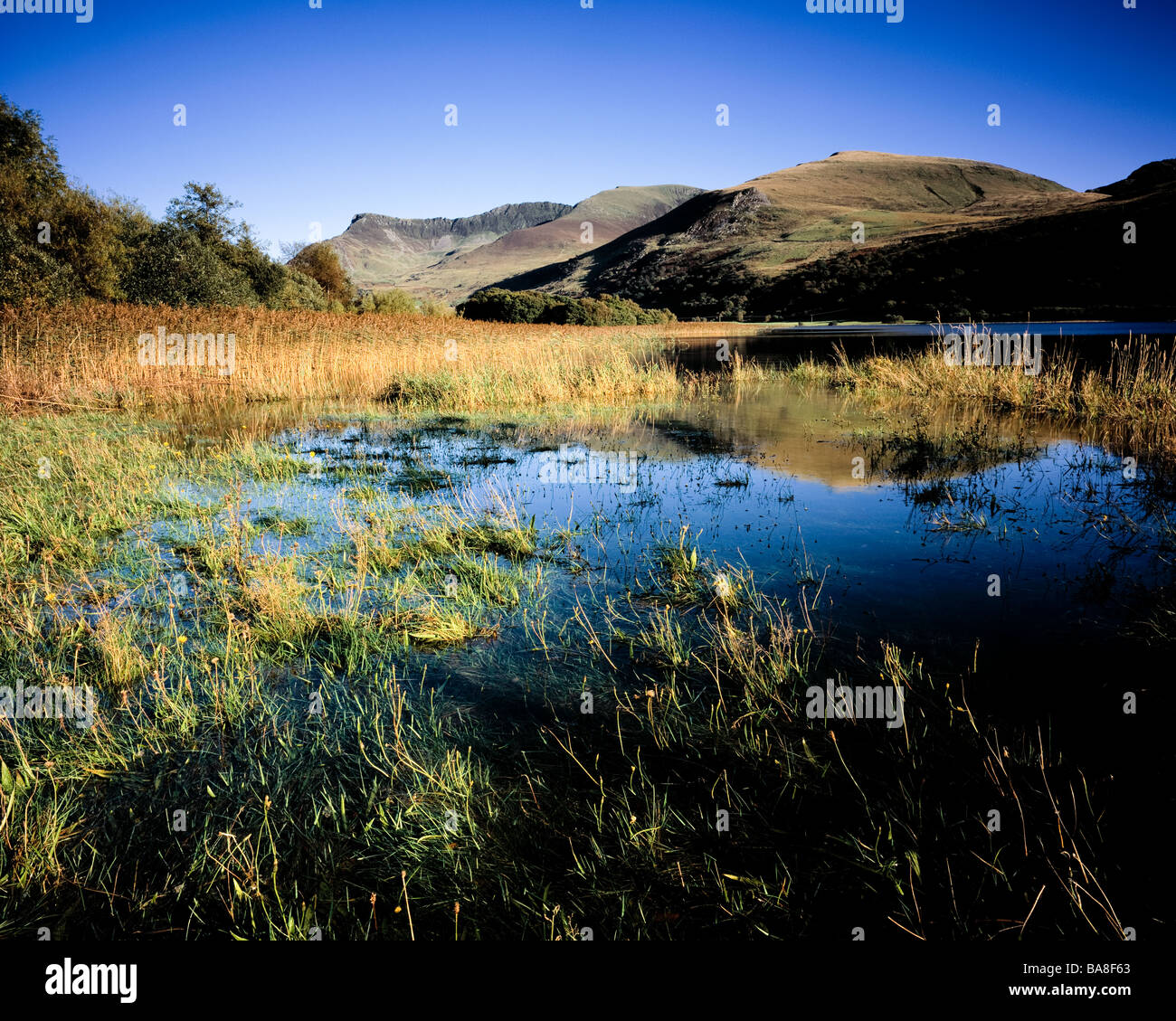 Llyn Nantlle and the Nantlle ridge.  Snowdonia National Park.  Wales. Stock Photo