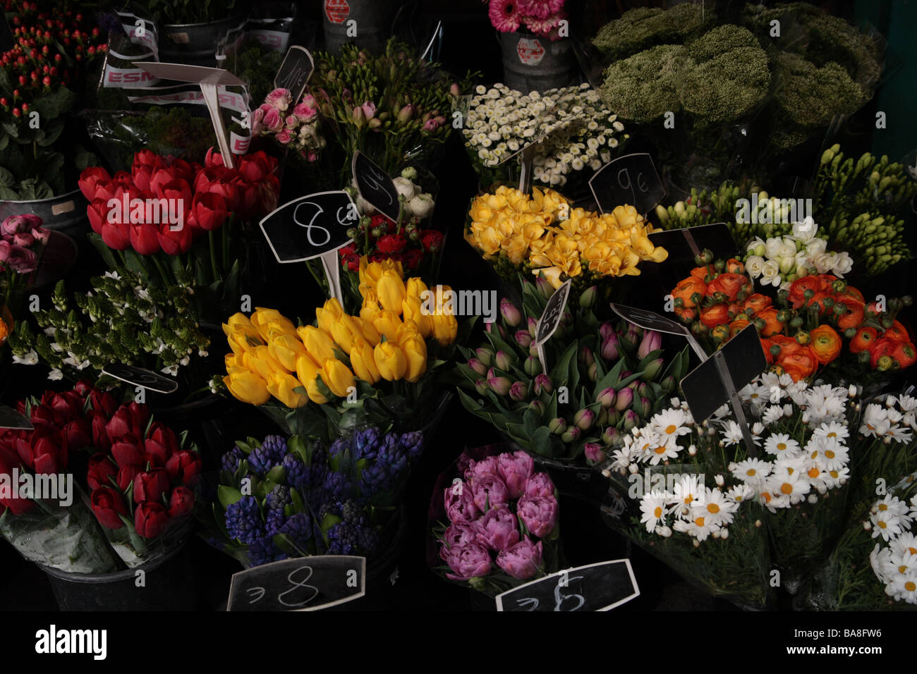 Fresh flowers at a flower stall, Place de la Madeleine,75008, Paris, France Stock Photo