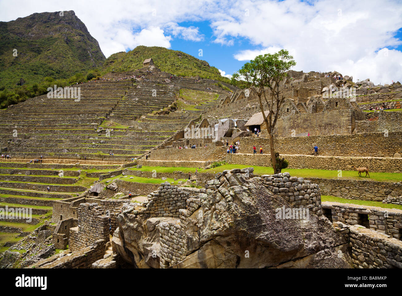 Ancient Inca city at Machu Picchu Stock Photo - Alamy