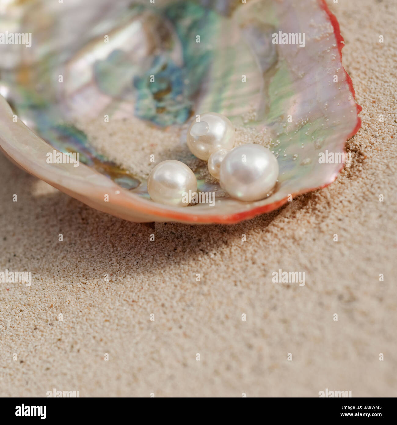 Close up of pearls in oyster shell Stock Photo