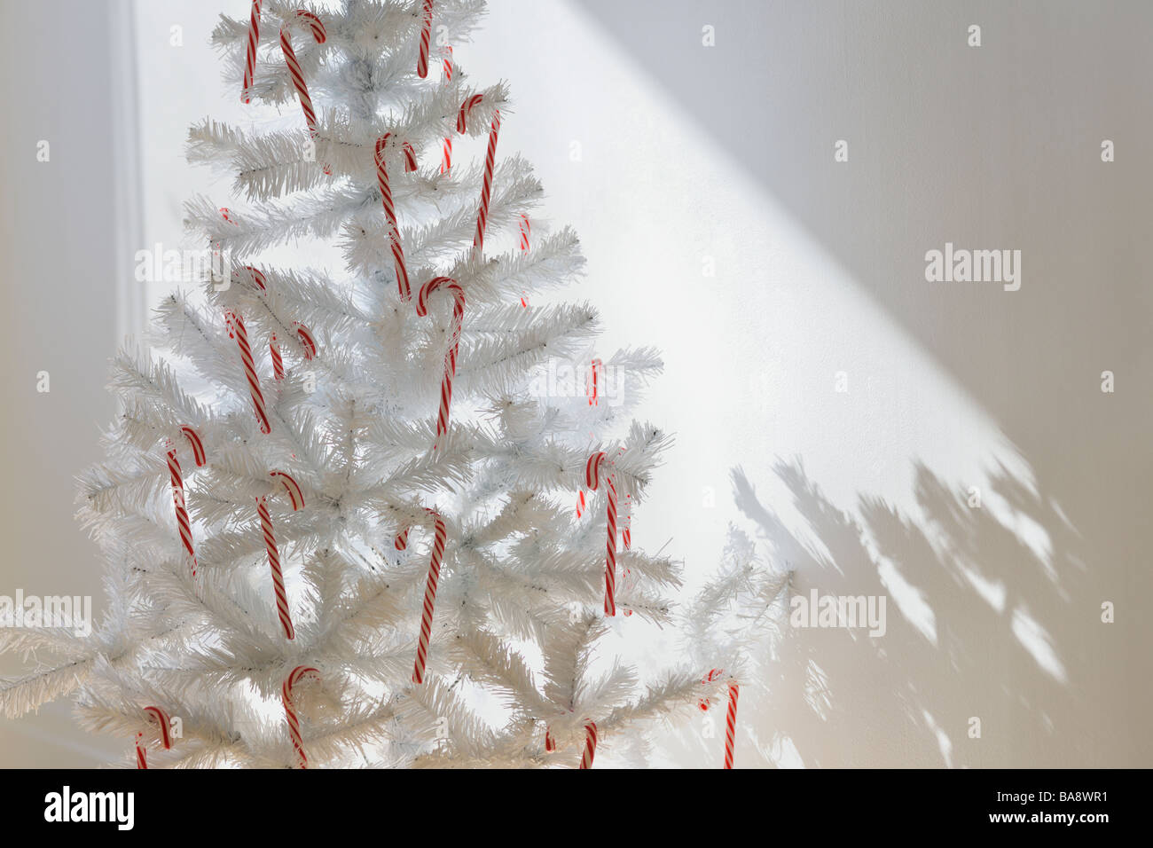 Candy canes on artificial Christmas tree Stock Photo - Alamy