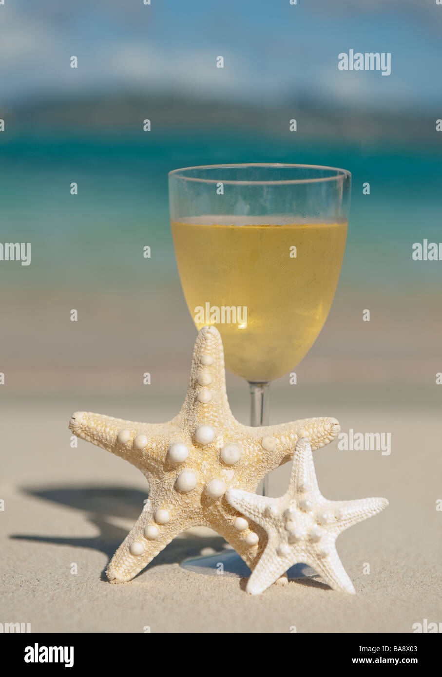 Glass of wine and sea stars Stock Photo