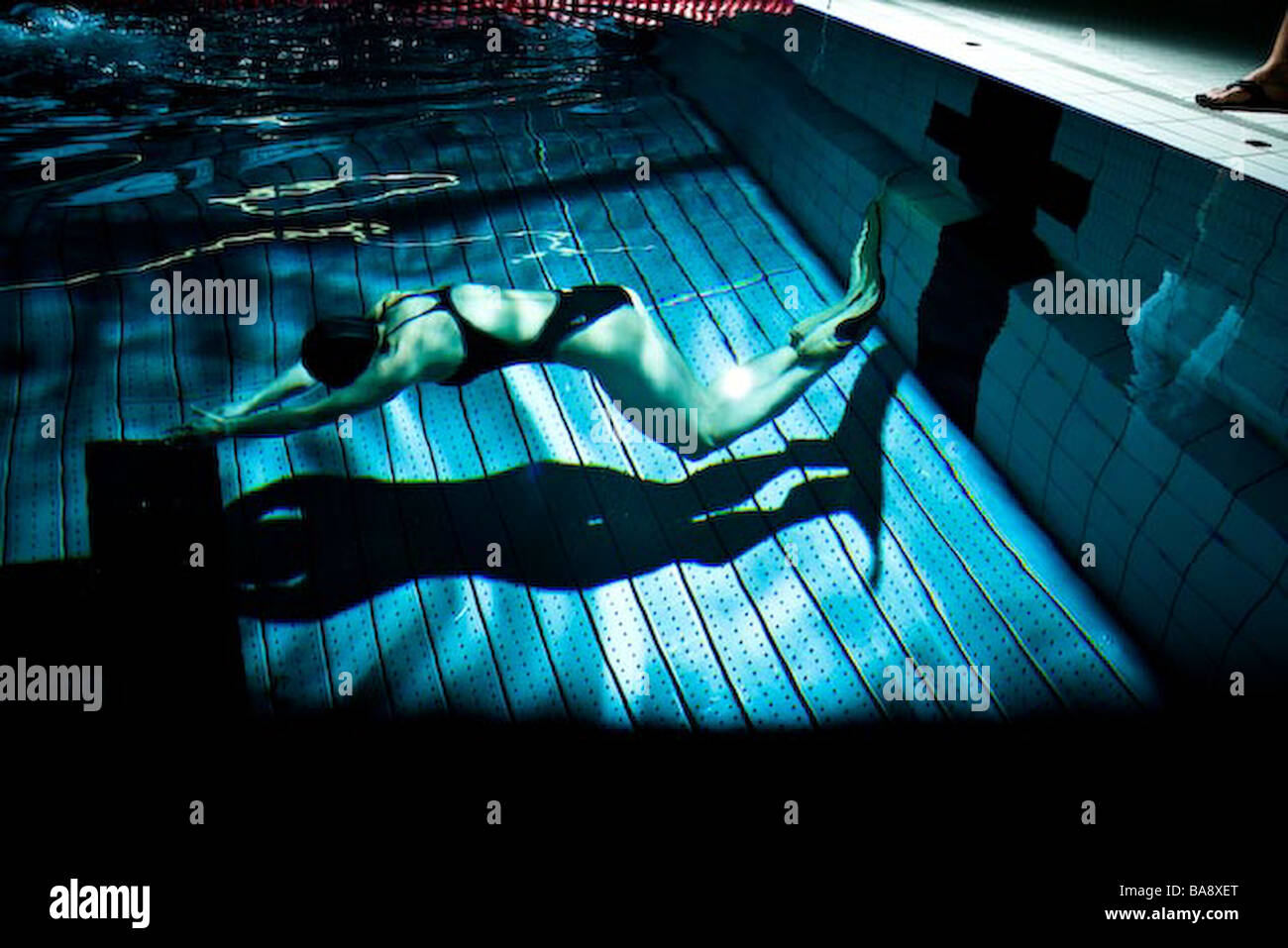 Monopalm Diving with monopalm in a swimming pool Stock Photo - Alamy
