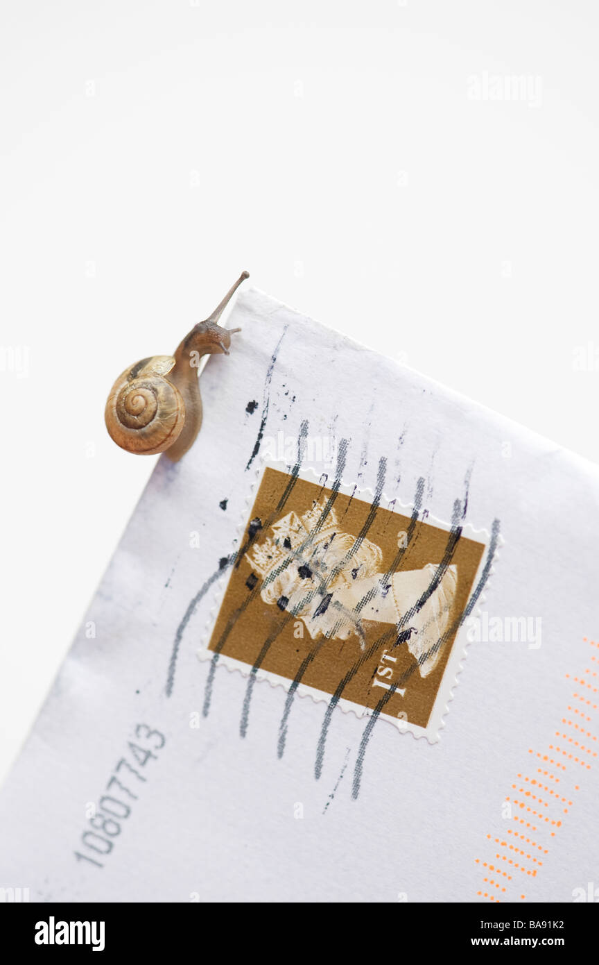 Small snail on a letter against white background Stock Photo