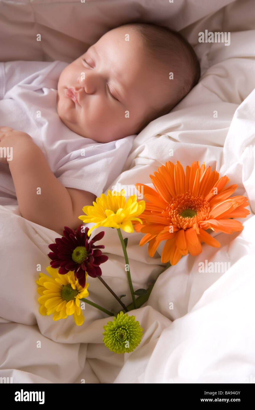 6 month old baby asleep hi-res stock photography and images - Alamy