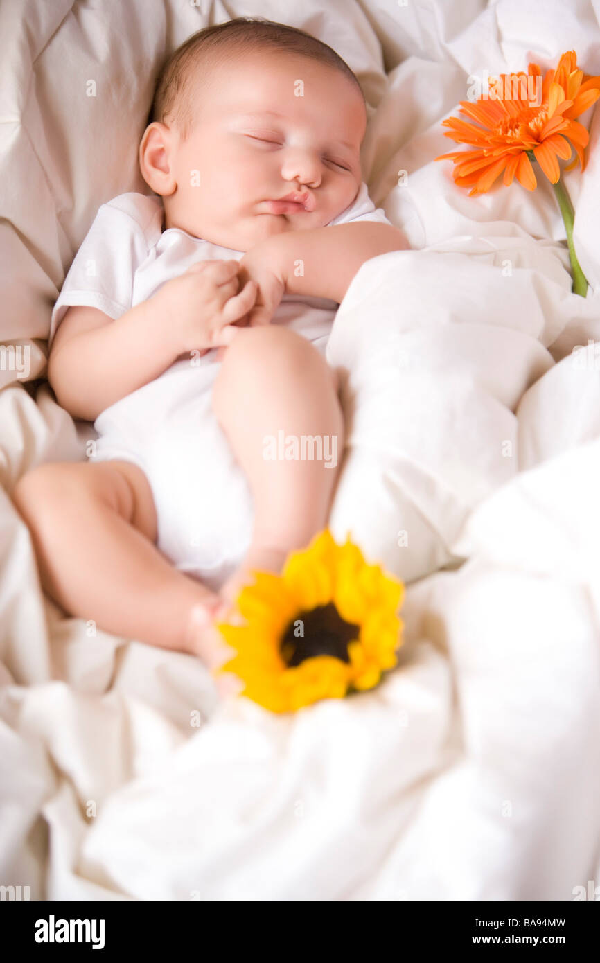 6 month old baby asleep hi-res stock photography and images - Alamy
