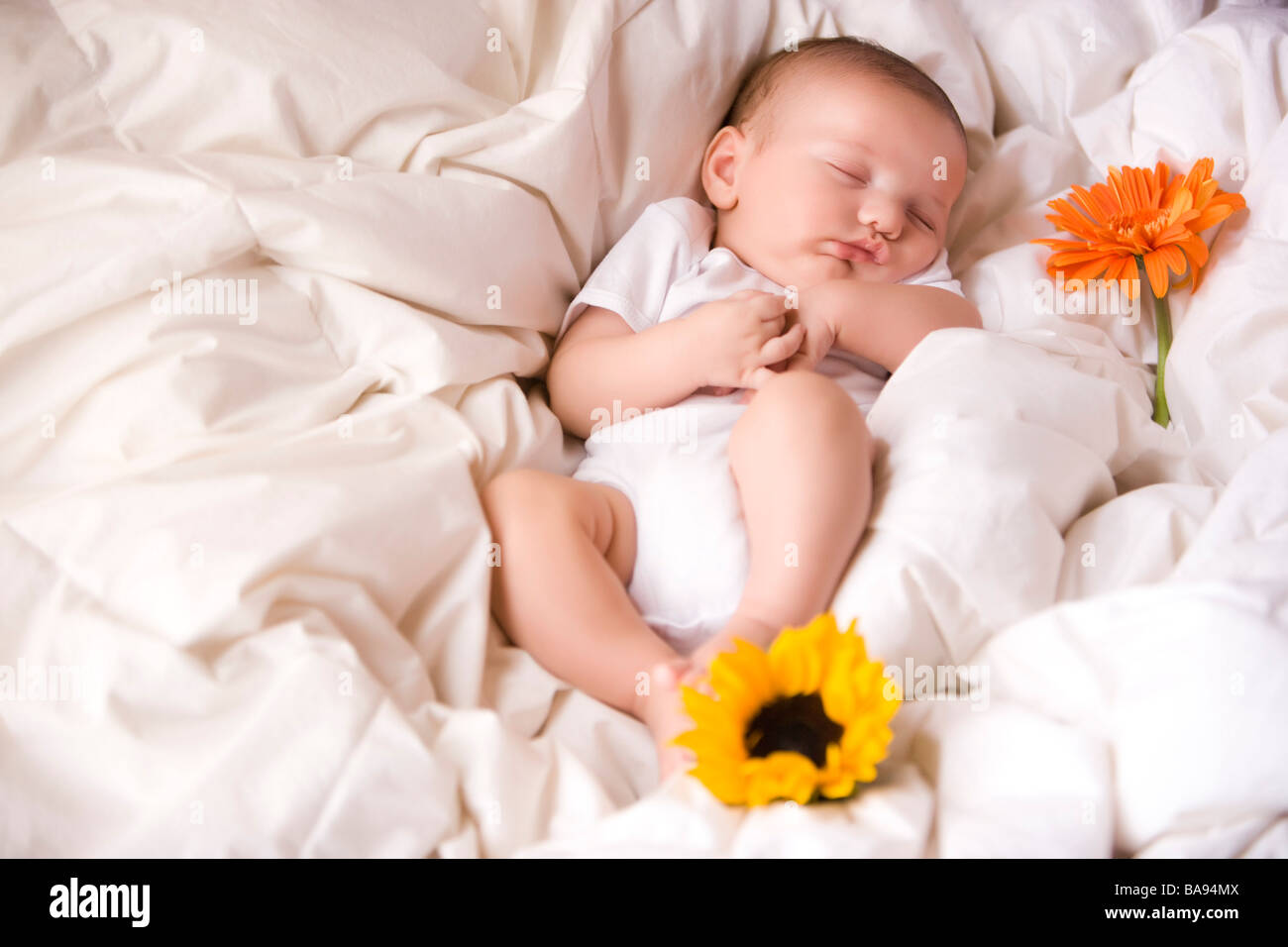 6 month old baby asleep hi-res stock photography and images - Alamy