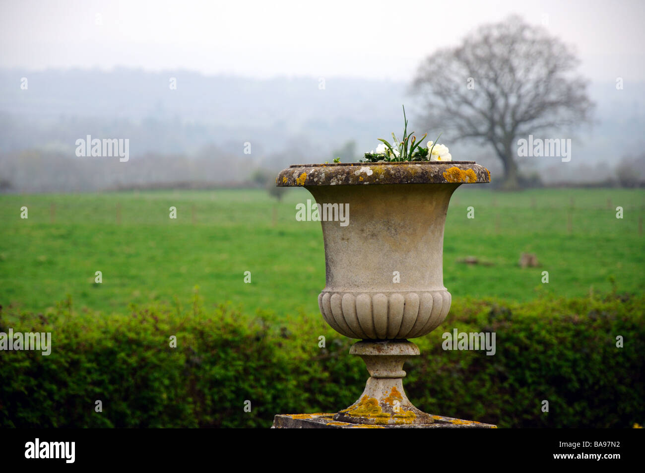 stone urn in English country garden Stock Photo Alamy