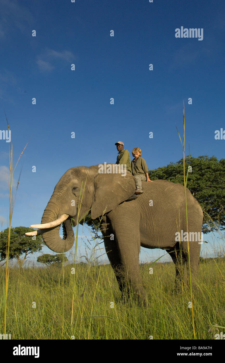 Tourists Ride A Large Bull Elephant At Zimbabwe S Imire Safari Park Stock Photo Alamy
