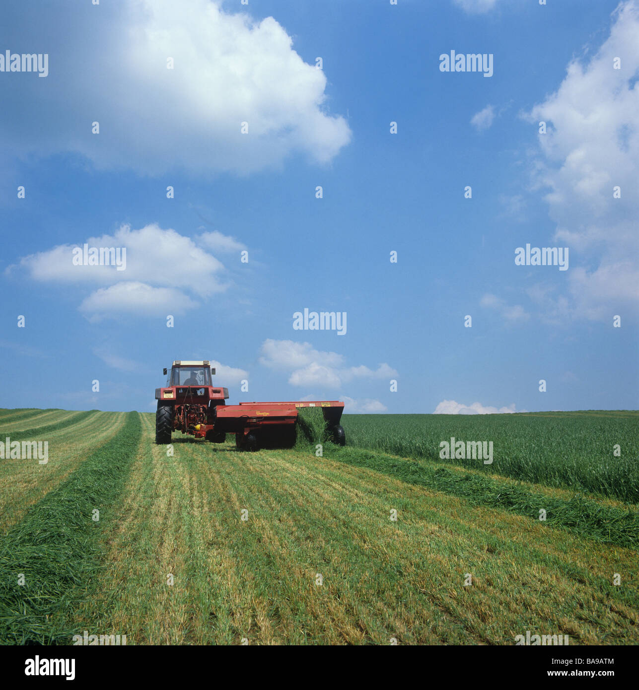 Tractor with Taarup mower mowing grass ley for silage Stock Photo