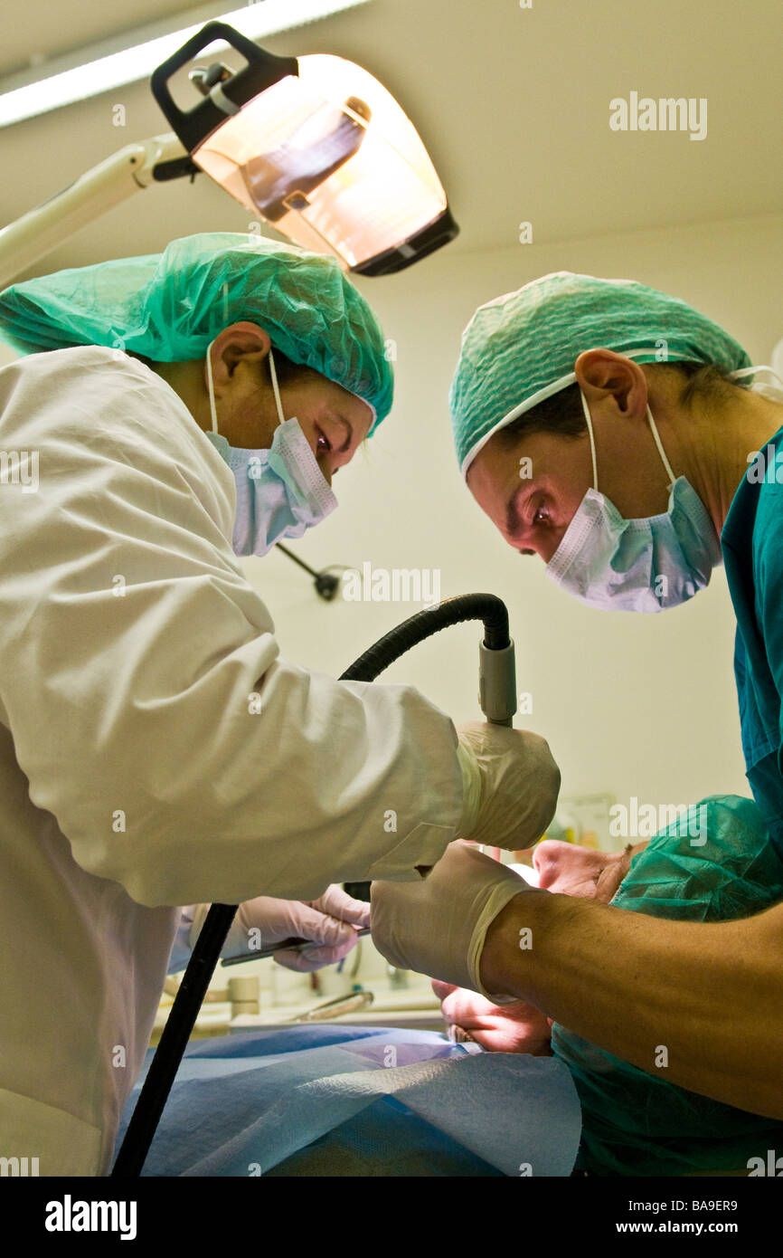 Dental hygienist union hires stock photography and images Alamy