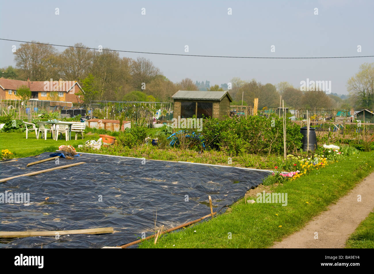 Warming The Soil With Polythene Sheeting On an Allotment Stock Photo ...