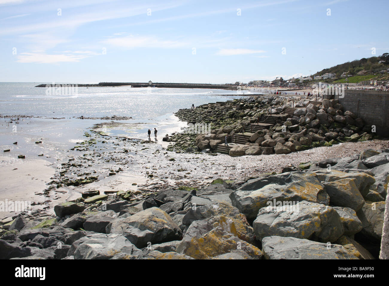 Lyme regis beach fossils hi-res stock photography and images - Alamy