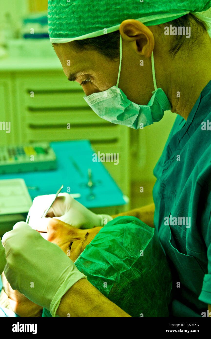 Dental hygienist union hires stock photography and images Alamy