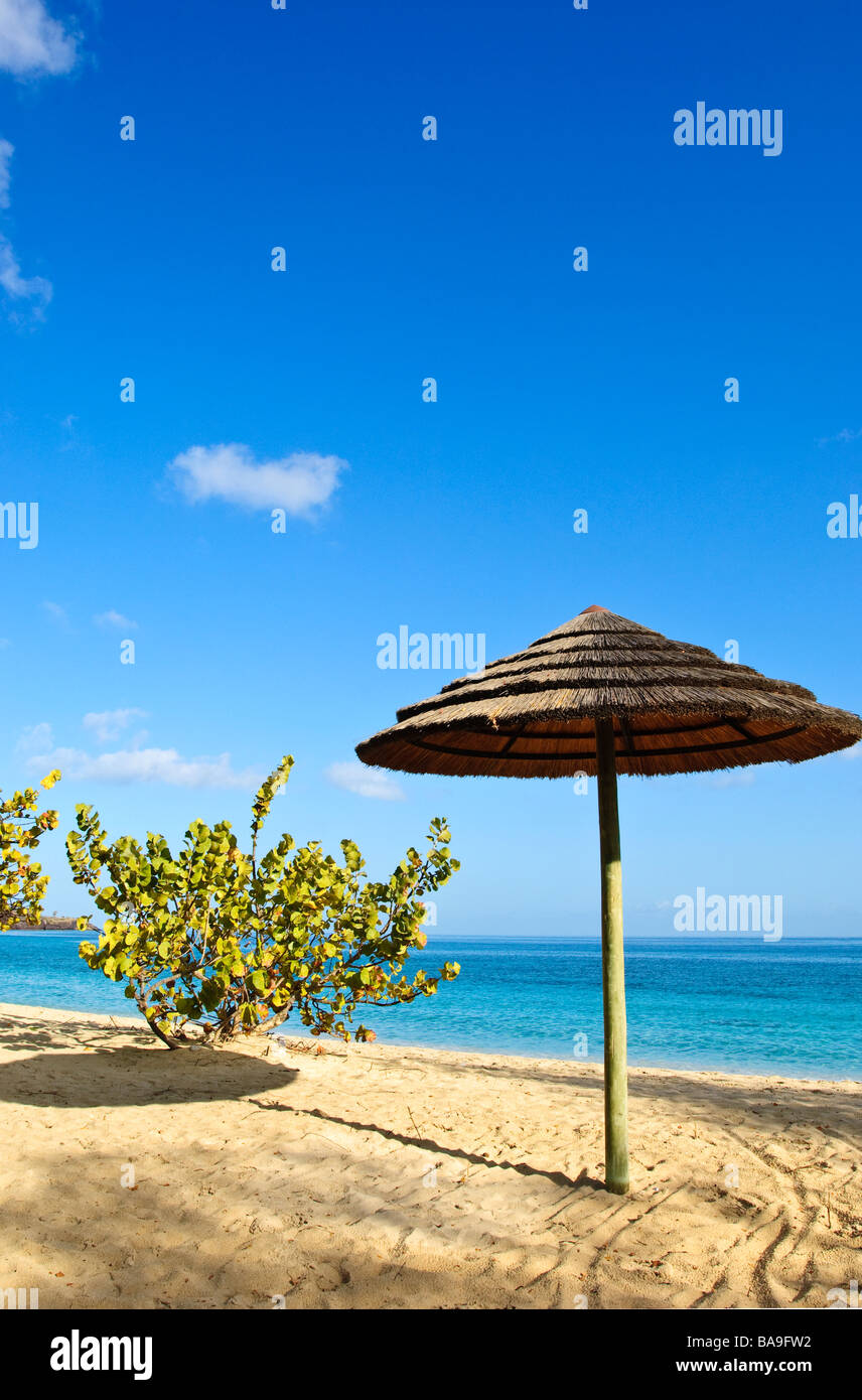Picture postcard beach umbrella on Grand Anse Beach Grenada Stock Photo Alamy