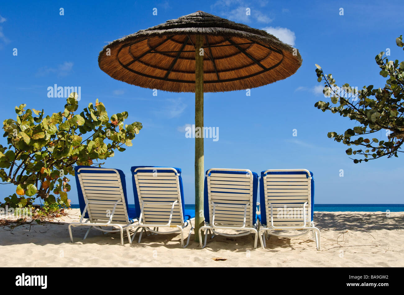 Beach chairs and umbrella on Grand Anse Beach Grenada Stock Photo Alamy