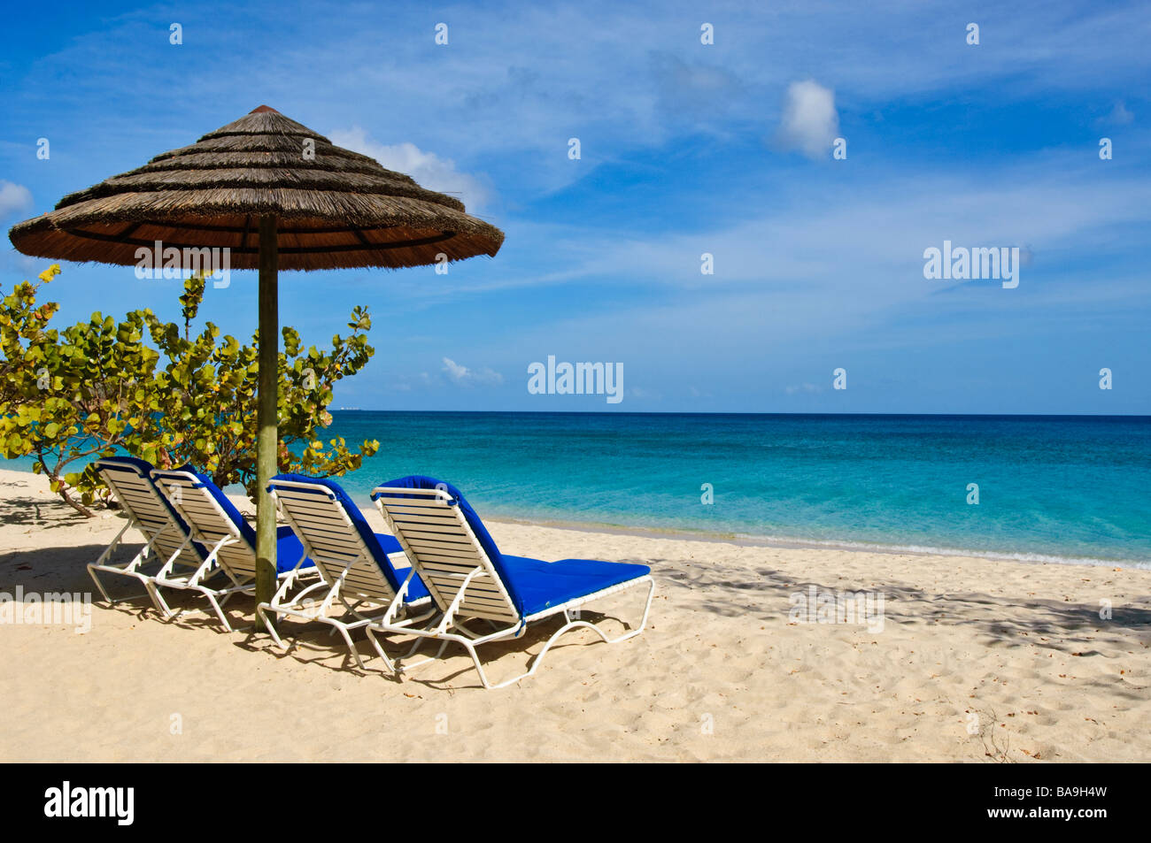 Beach chairs and umbrella on Grand Anse Beach Grenada Stock Photo Alamy