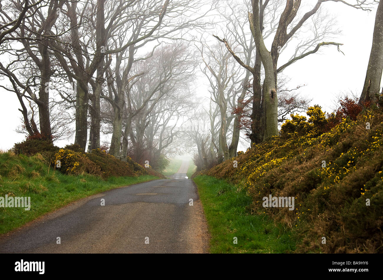 Towards Greenlaw.Scottish borders Stock Photo Alamy