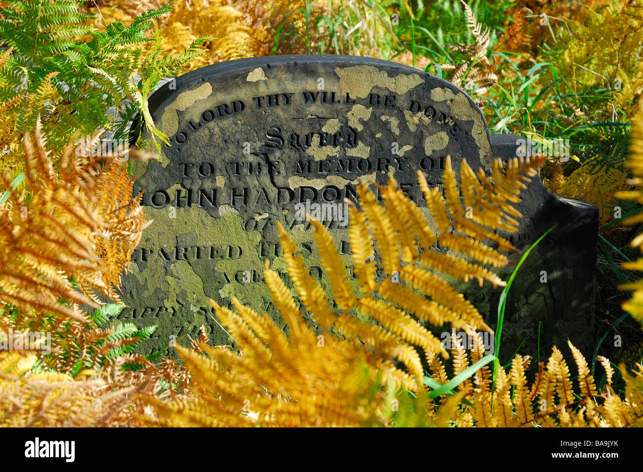 Overgrown tomb in Brompton Cemetery London Stock Photo