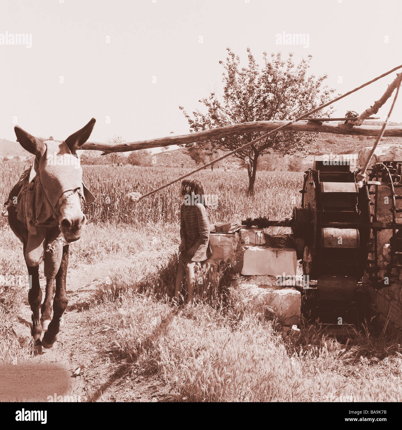 WATER PUMP IN CYPRUS Stock Photo Alamy