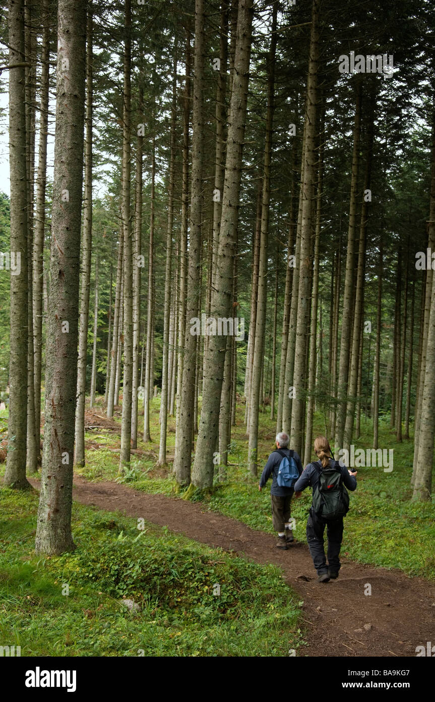 Two women in coniferous forest hi-res stock photography and images - Alamy