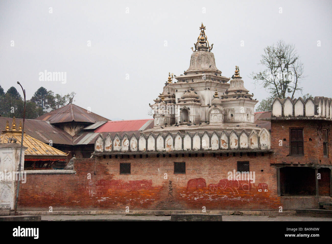 Pashupatinath Temple and Monuments, Kathmandu Nepal 90450 Nepal Stock Photo