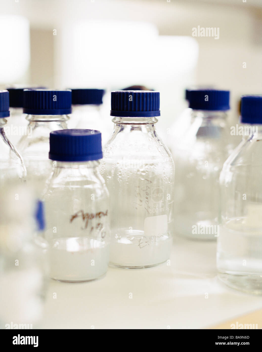 Bottles in a laboratory Stock Photo Alamy