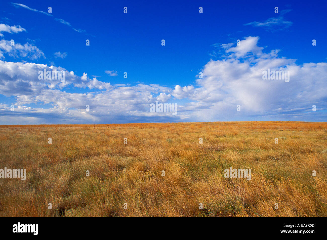 Clouds in blue sky over Buffalo Gap National Grassland Buffalo Gap
