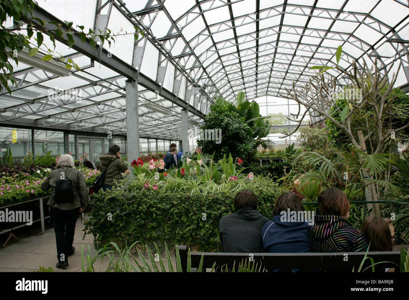 Tropical greenhouse at Hall Place in Bexley, Kent, UK Stock Photo Alamy
