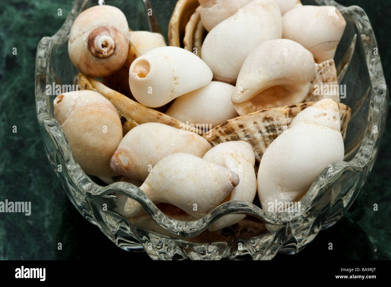 Small sea shells in a glass candy dish Stock Photo