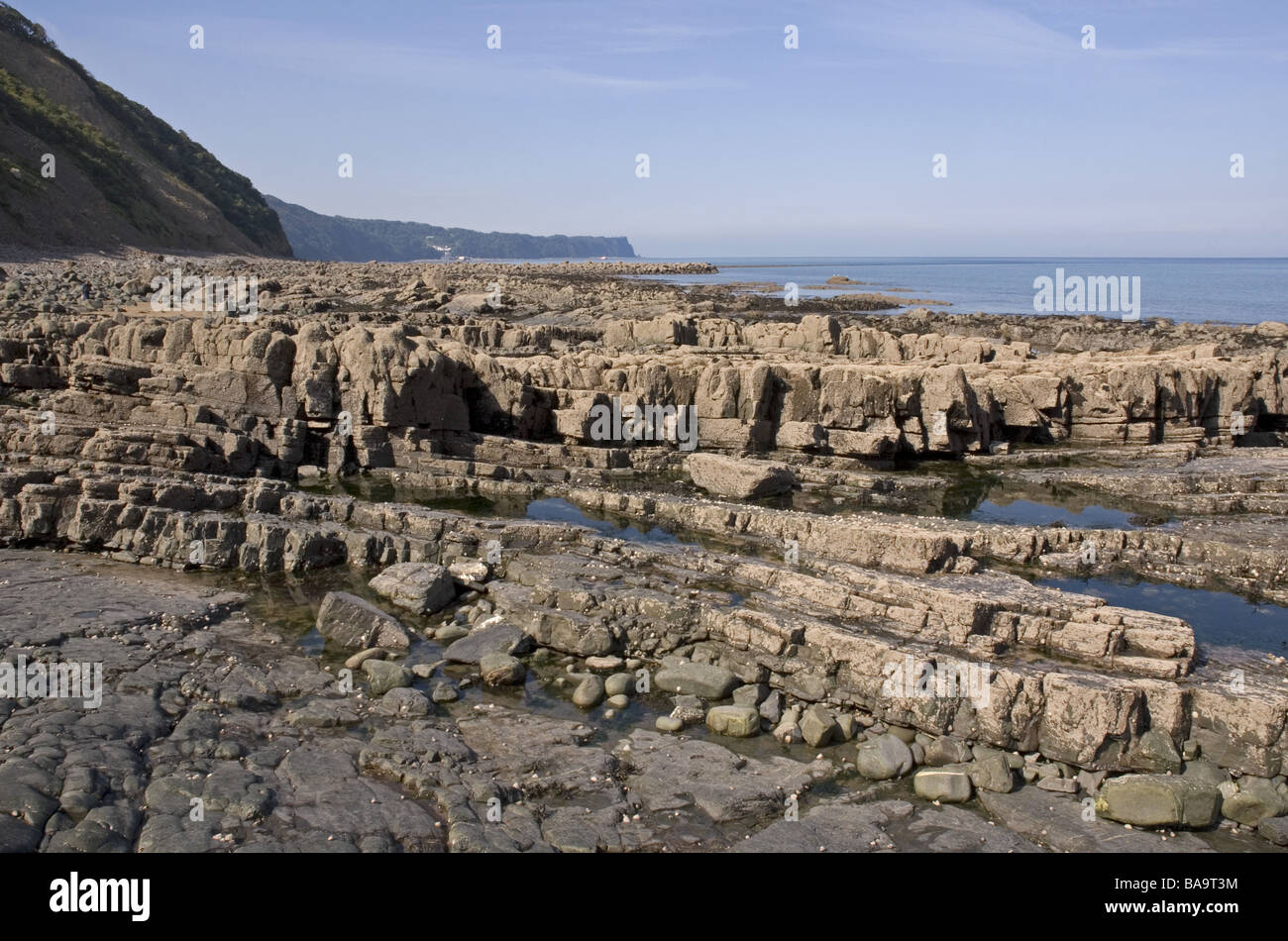 Rocky shoreline at Bucks Mills on the North Devon coast Stock Photo
