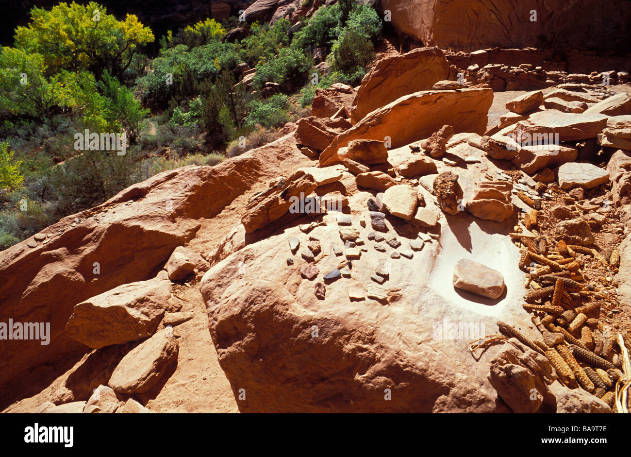 Pottery sherds corn cobs and grinding impressions at Junction Ruin