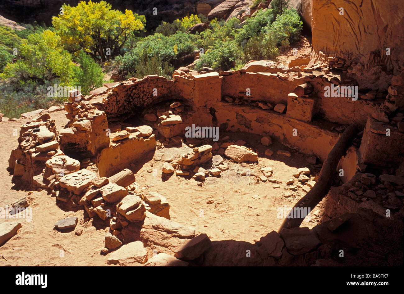 Pottery sherds corn cobs and grinding impressions in a kiva at Junction