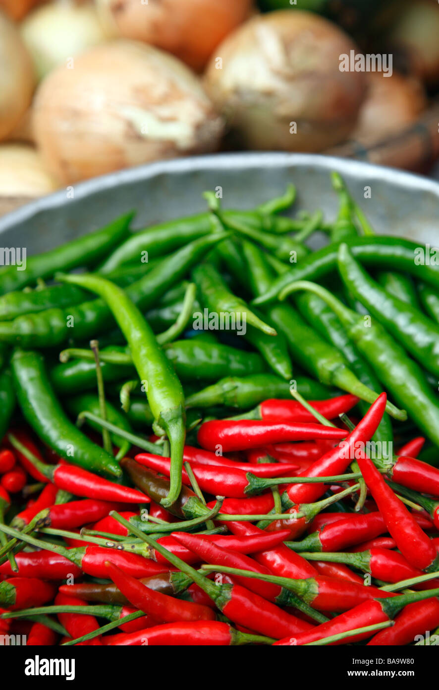 Green and red chilies Stock Photo