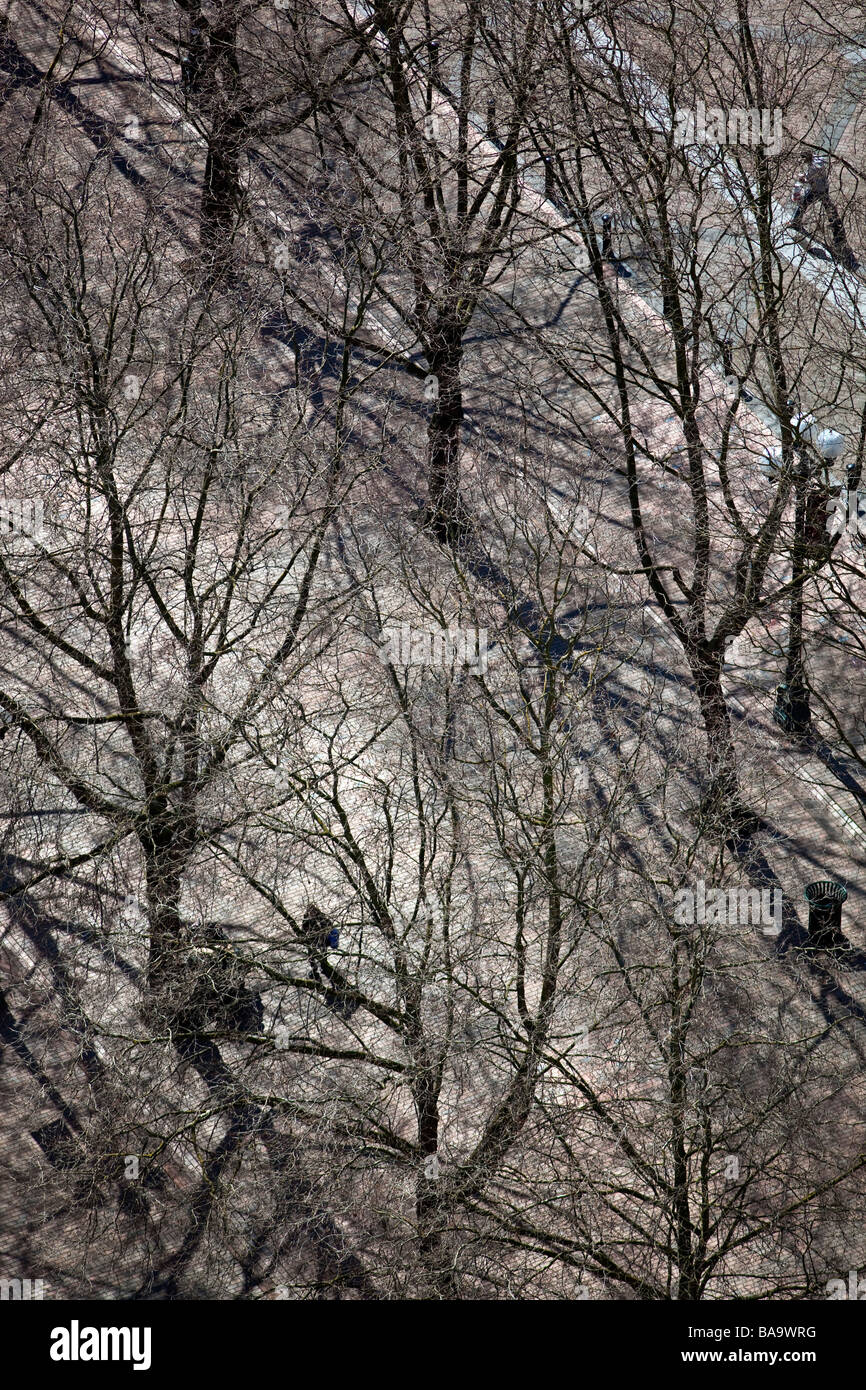Walking under the trees Stock Photo - Alamy