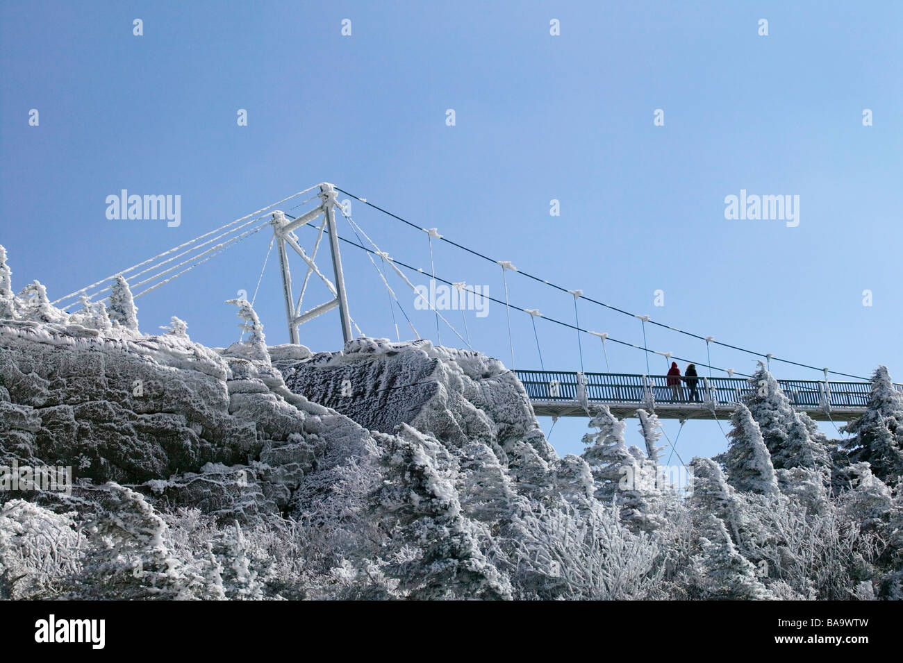 Mile High Bridge Grandfather Mountain Biosphere Reserve