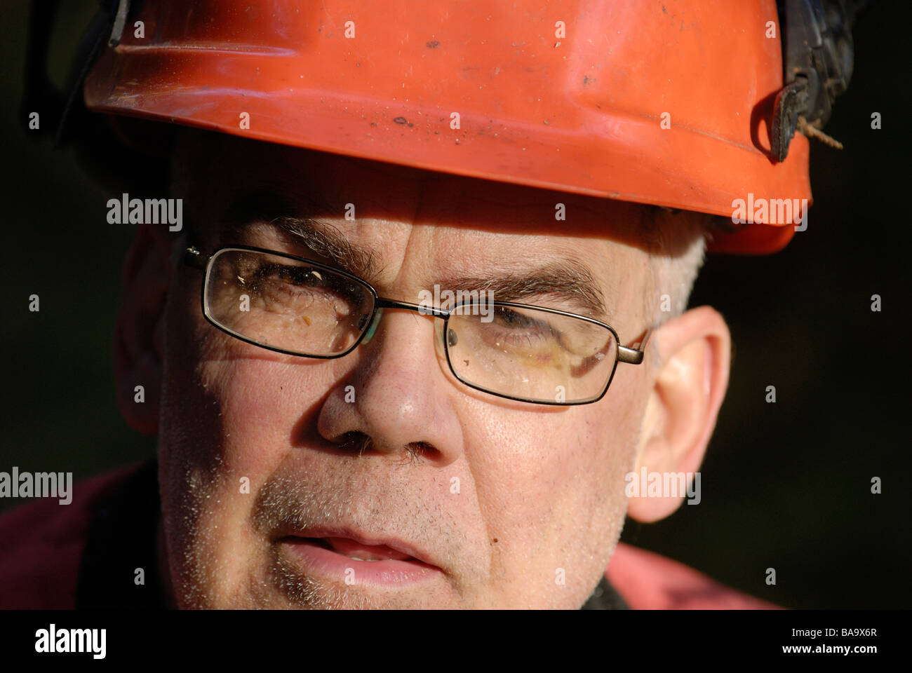 A woodman working in the forest Sweden Stock Photo Alamy
