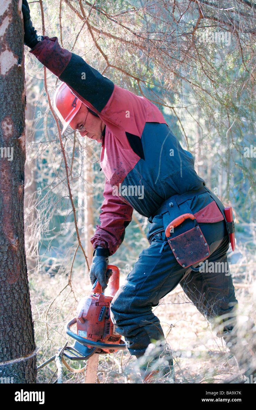 A woodman working in the forest Sweden Stock Photo Alamy