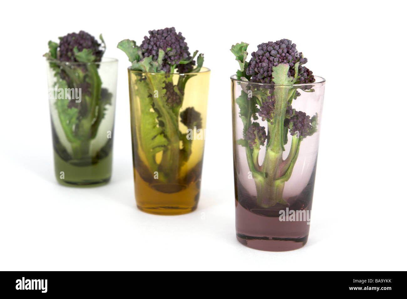 Purple Sprouting Broccoli Stock Photo